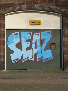 833413 Afbeelding van graffiti met de tekst 'SEAZ' uit 2017, op een deur tussen de panden Blauwkapelseweg 35-37bis te ...